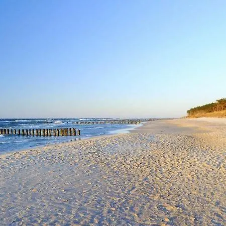 בית הארחה Nemo 3*