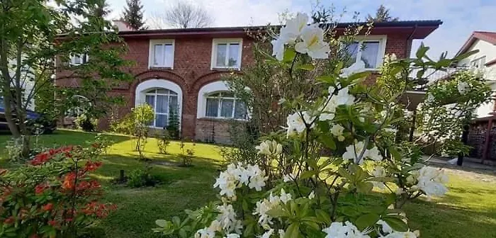 Casa de hóspedes Nemo 3*